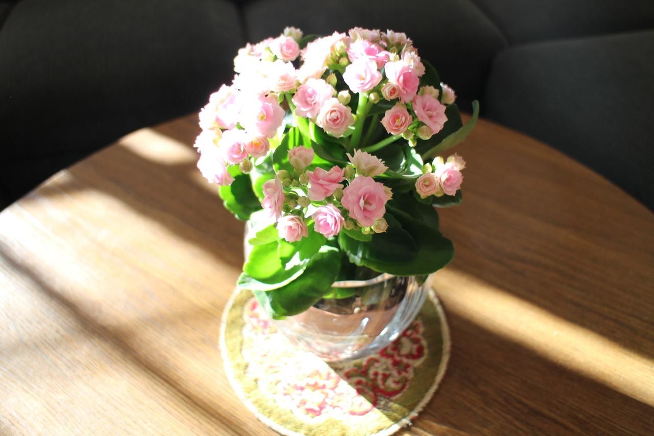 Апартаменты Feel Vilnius old town pulse apartments Вильнюс-19